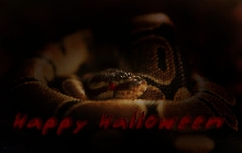 Happy Halloween