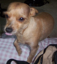 tounge out