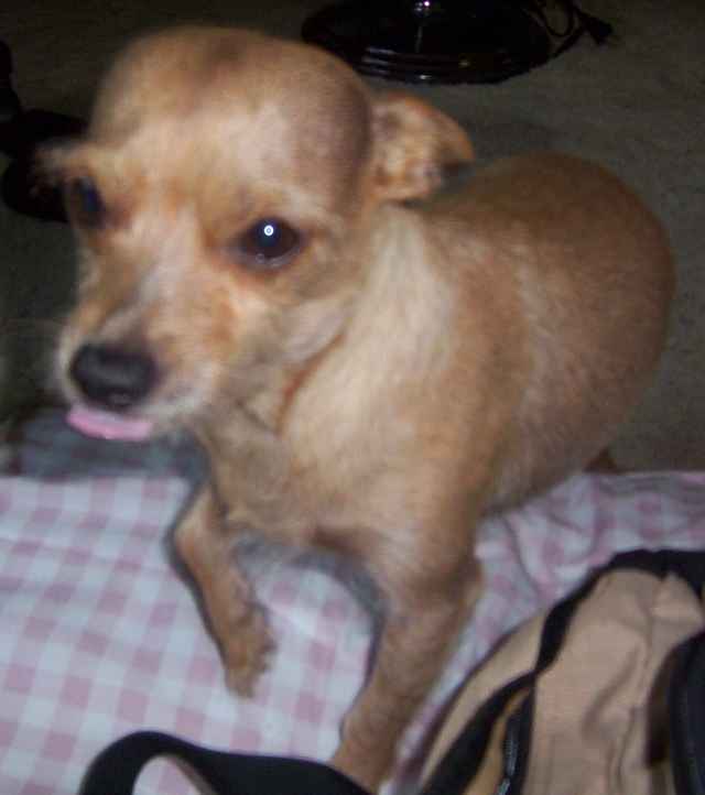 tounge out