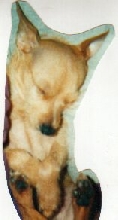 sleeping