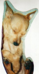 sleeping