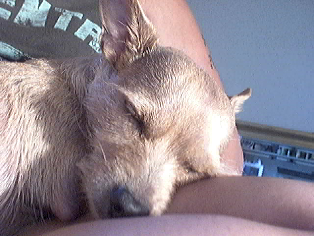 sleepy time