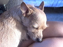 sleepy time