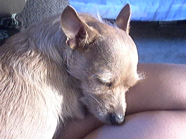 sleepy time