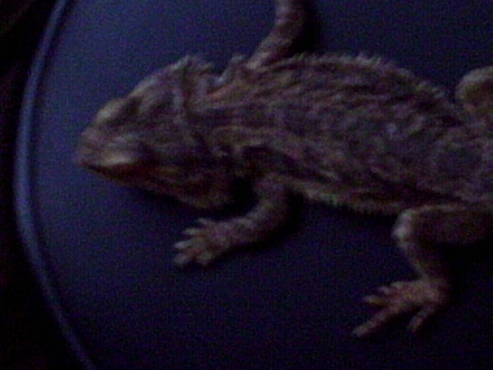 my male again