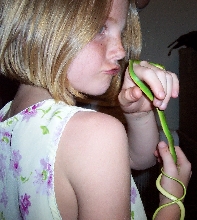 Holly & Snake