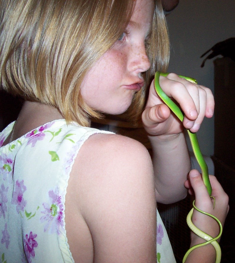 Holly & Snake