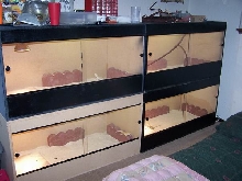 4 new bearded enclosures 90% done