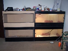 New bearded enclosures and two unfinished