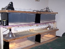 Juvenile enclosures