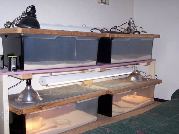Juvenile enclosures