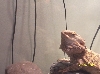 Lenny Stretching his beard