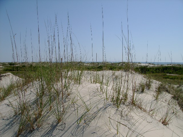 Dunes of Cumberland