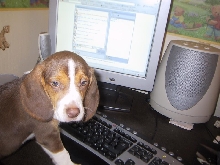 daisy learning to use the computer