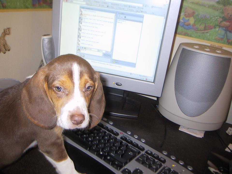 daisy learning to use the computer