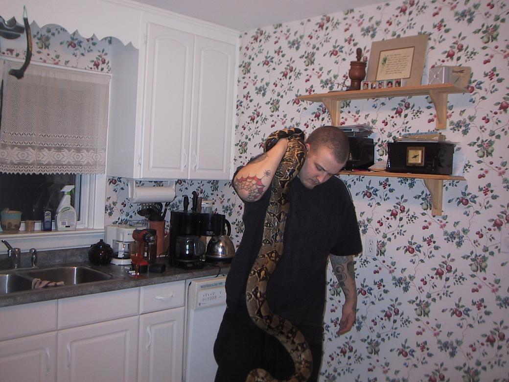 me and our new female boa