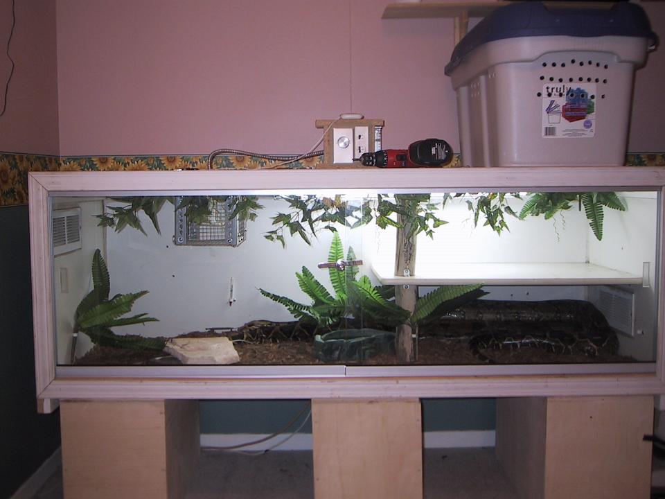 custom tank
