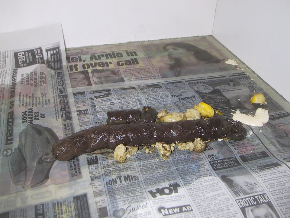 big turd,little snake