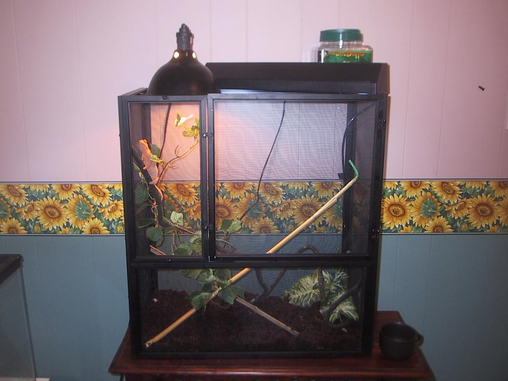 my new proper setup