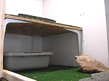 Inside the cage