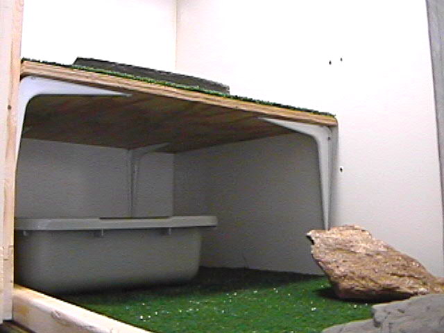Inside the cage