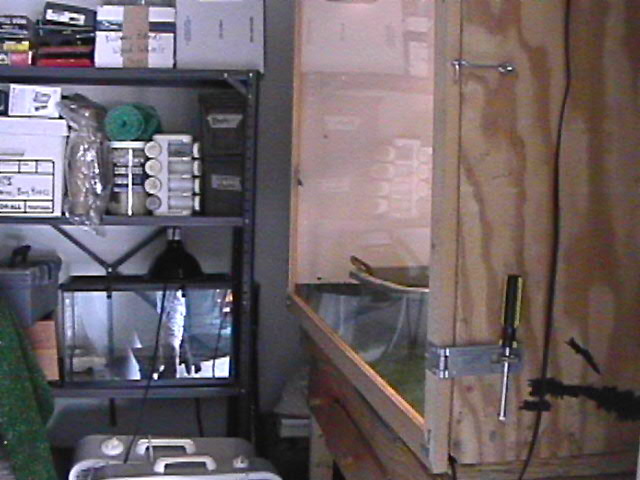 dude3282's snake closet
