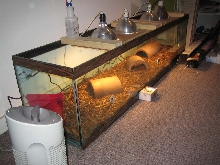 RF cage 3