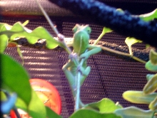 Hangin out