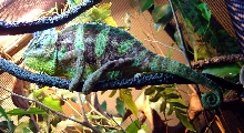 Cruiser on 9-21-05