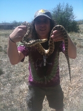 Caught a Bull!