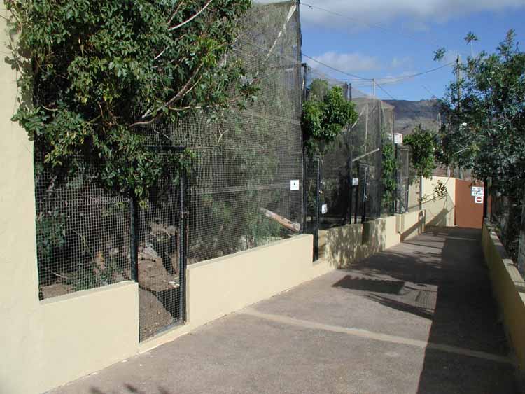 Marmoset cages