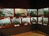 Indoor snake exhibit