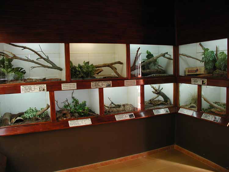 Indoor snake exhibit