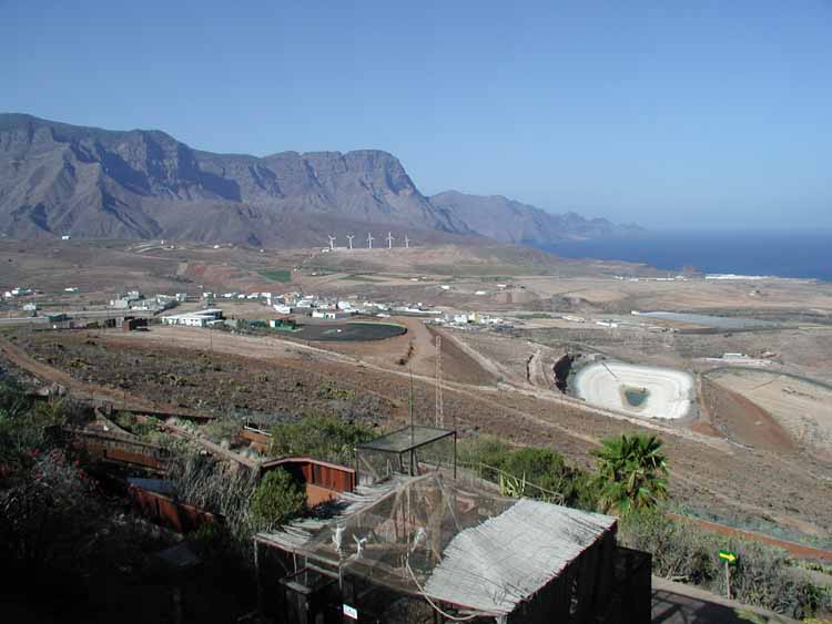 View from park