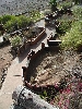 Komodo exhibit