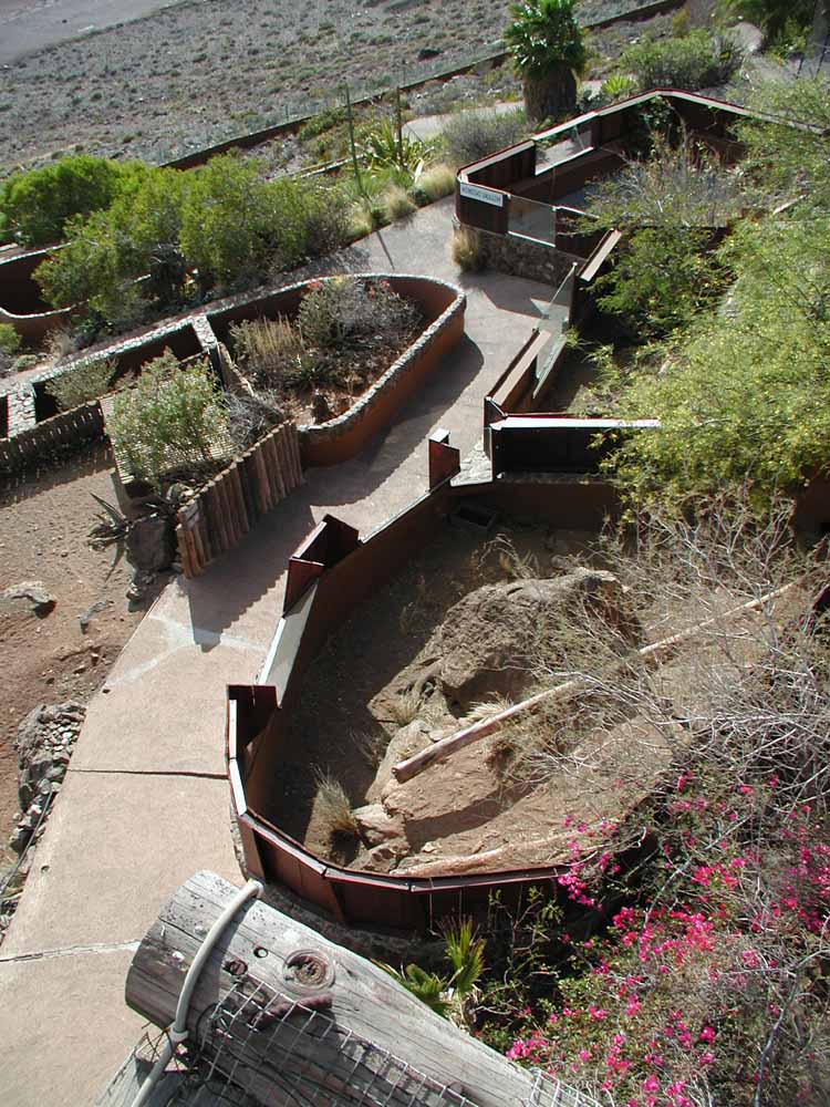 Komodo exhibit