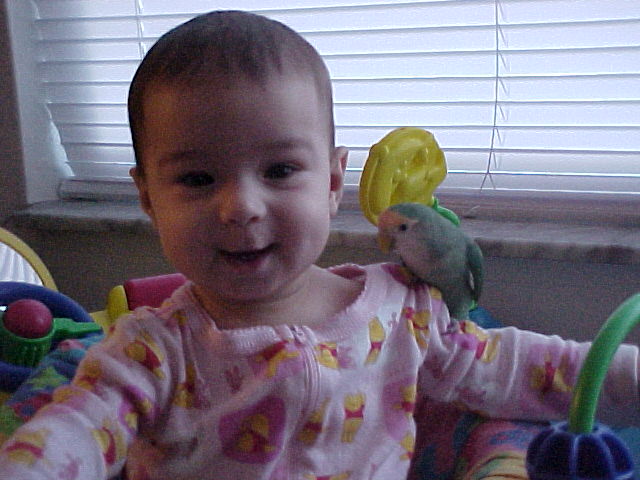 Bird and baby