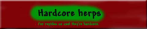 Logo?