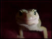 Patternless close-up
