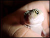 Patternless on hand
