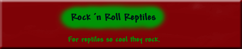Possible Logo