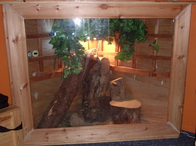 Bearded Dragon Vivarium