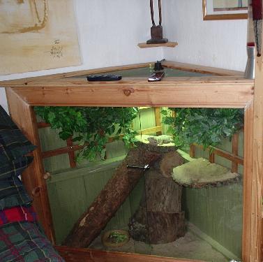 updated viv pic #1