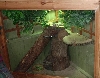 updated viv pic #2