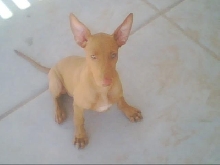 Story again..day 1 that she came home.
