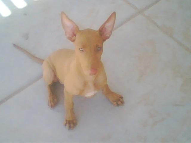 Story again..day 1 that she came home.
