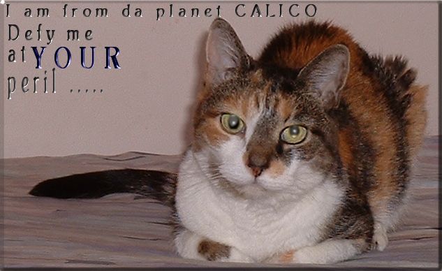 Planet Calico