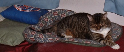 time for a nap