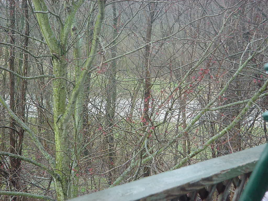 the creek 1