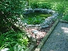 lil pond